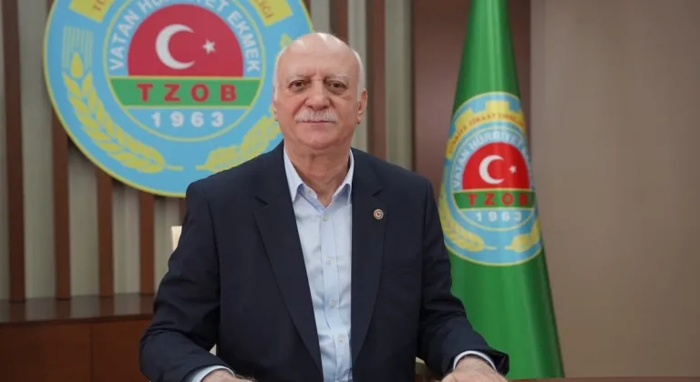Fındıkta hasat vakti geldi