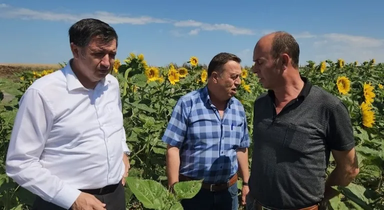 Gaytancıoğlu: Ayçiçeği taban fiyatı en az 20 TL olmalı