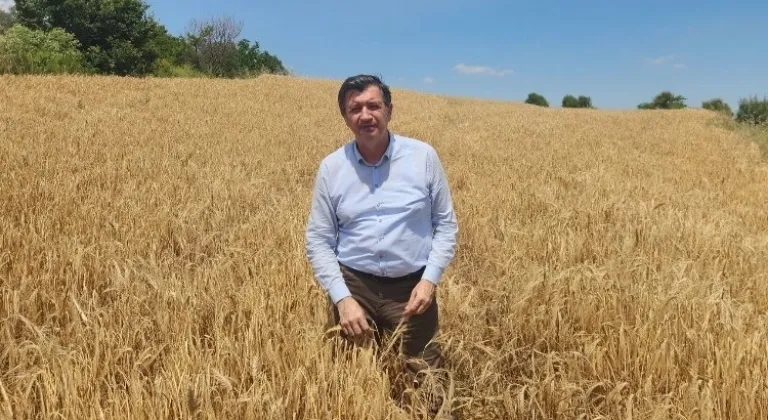 Gaytancıoğlu: Tarımda Yolculuğumuz: Nasıl Buraya Geldik?