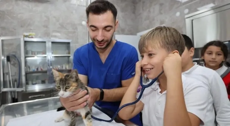 Gebze’de 309 patili cana yeni yuva bulundu