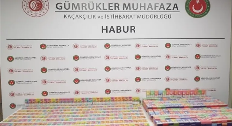 Habur Sınır Kapısı'nda bin 33 adet kaçak elektronik sigara ele geçirildi