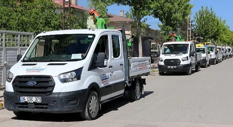 Haşere ve Sineklerle mücadele tam gaz