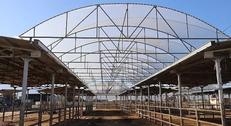 Hayvan Pazarı'nda 600 metrekare alanın üstü kapatıldı