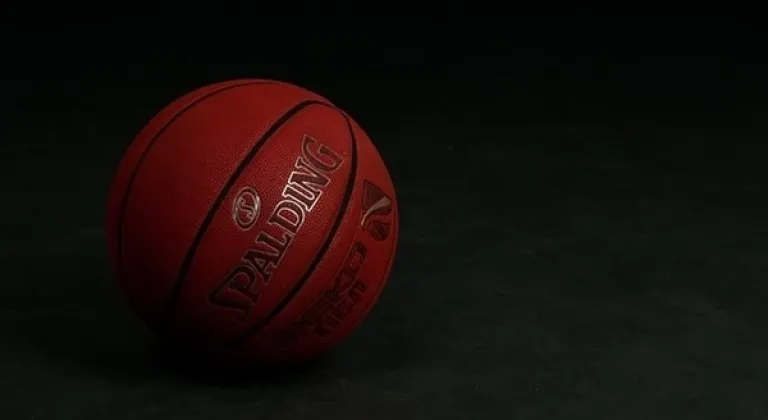 ING Kadınlar Basketbol Süper Ligi'nin 16. haftası