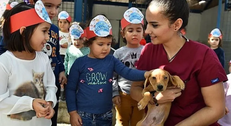 İzmir'de sokak hayvanları için büyük işbirliği