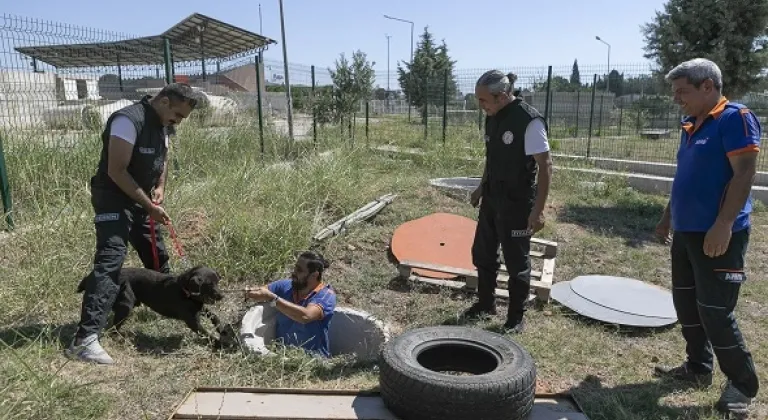 K9 eğitmenleri Mersin'de ortak çalışma yaptı