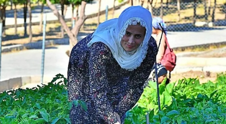 Kadifekale Mahalle Bostanı'nda ilk ürün sevinci