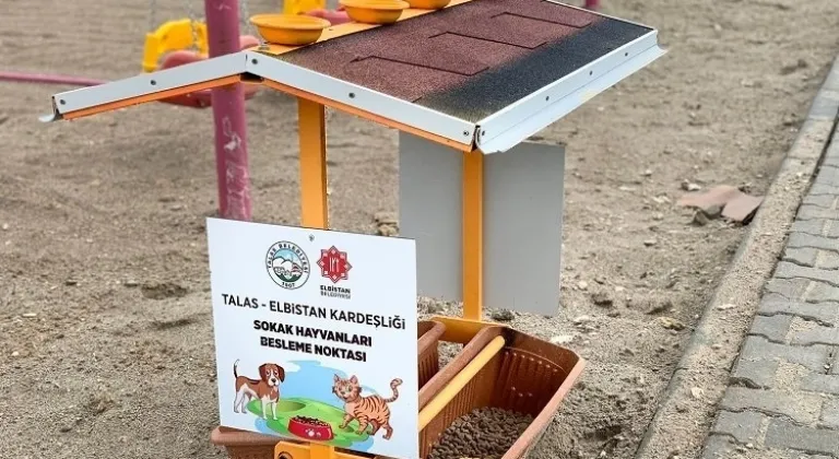 Kayseri Talas deprem bölgesinde can dostları da unutmuyor