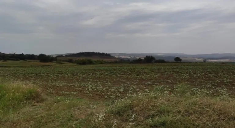 Keşan’a 1,5 milyar TL’lik RES için ÇED süreci başladı