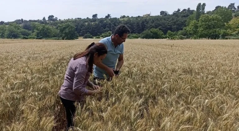 Keşan'da Bozkurt Zararlısına Karşı Mücadele Başladı