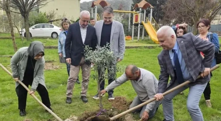 Kocaeli'de Zeytin Fidanları Toprakla Buluştu