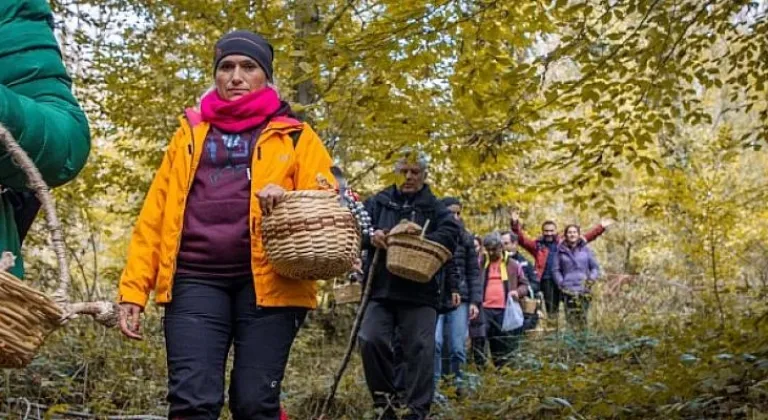 Kocaeli'nin ilk mantar avı Ormanya'da yapıldı