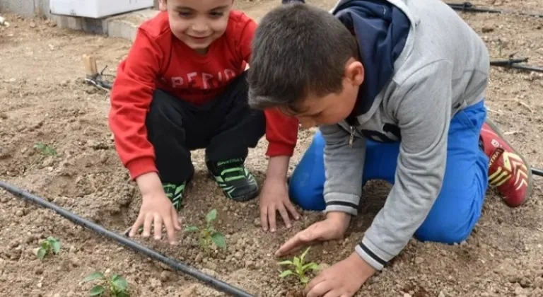 Konya Karatay'da Hobi Bahçeleri İçin Kayıtlar Başladı