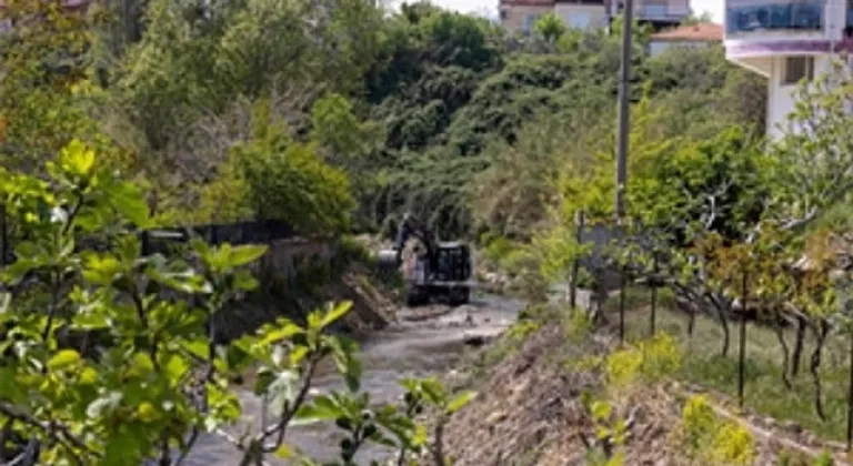 Körfezle buluşan derelerde temizlik harekâtı