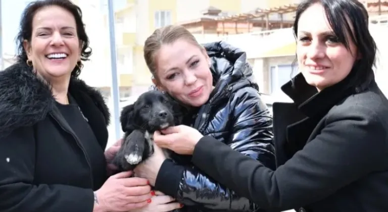 Manisa’da Sokak Hayvanları İçin İş Birliği