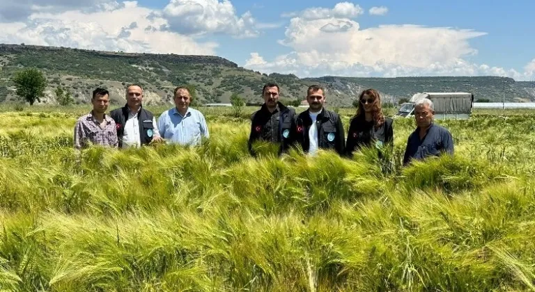 Manisa'da Tohum Verimliliği Yüzleri Güldürüyor