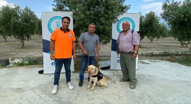 Manisa'da 'Üzüm' çiftçinin can yoldaşı olacak