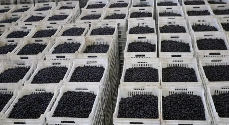 Marmarabirlik Son Taksit Ödemelerini Gerçekleştirecek