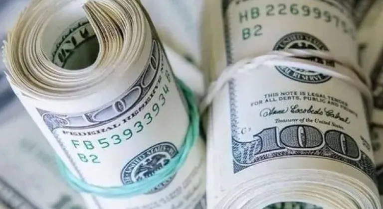 Merkez Bankası Rezervleri Tarih Yazdı