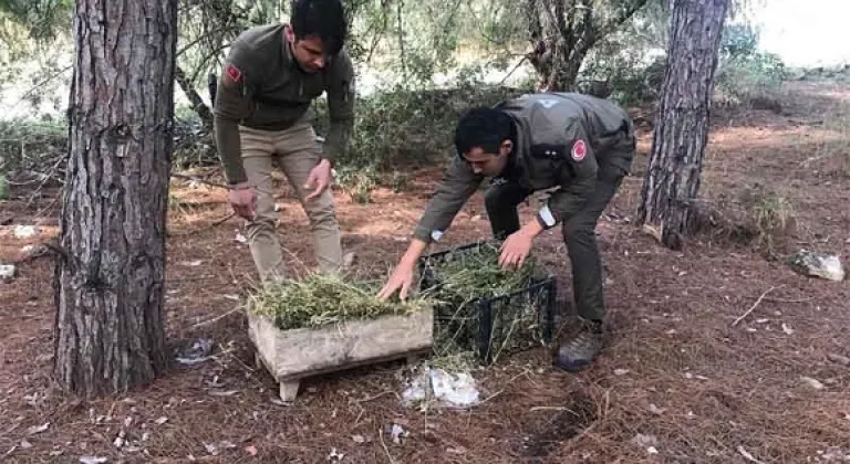 Mersin Polisi Sevimli Dostlarımızı Unutmadı