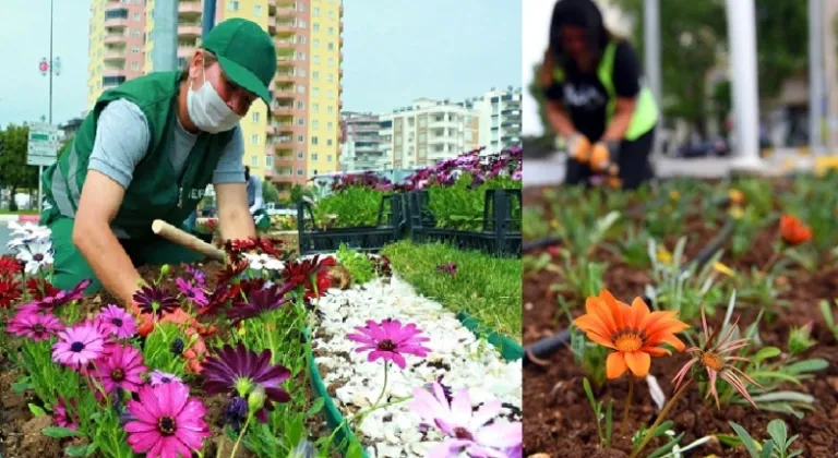 Mersin, Yaz Çiçekleriyle Rengarenk Oldu