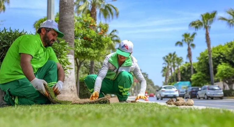 Mersin'de Yaza hazırlık devam ediyor refüjlere rulo çim seriliyor