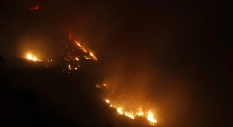 Mersin’deki orman yangını kontrol altına alındı