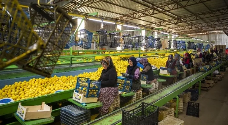 Mersin’in Limonu Ve Portakalı Depremzedeler İçin Yola Çıktı