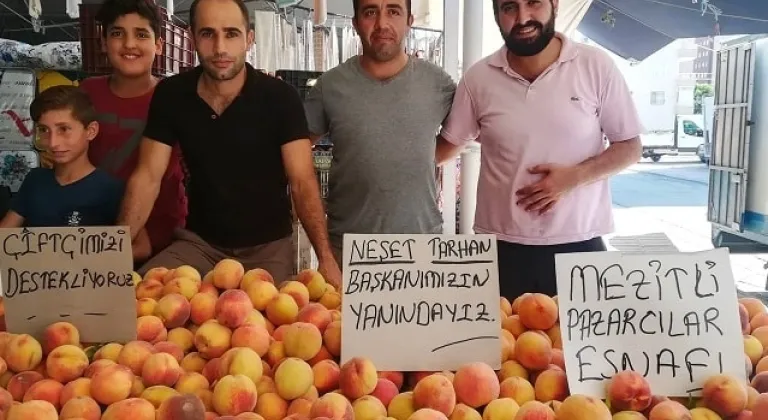 Mezitli’de şeftali seferberliği başladı