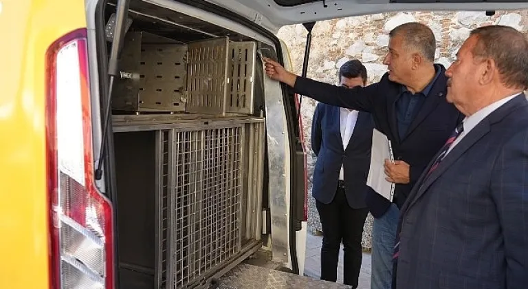 Milas Belediyesi Can Dostlarımızın Yardımına Koşuyor