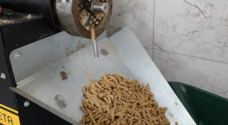 Muğla can dostlara mama üretiyor