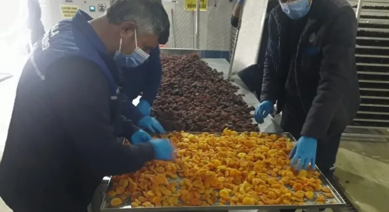 Muğla 'Malatya Kayısıları'nı ücretsiz dağıtacak