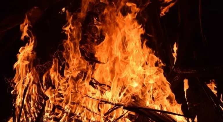 Muğla Milas'ta çıkan yangın kontrol altına alındı
