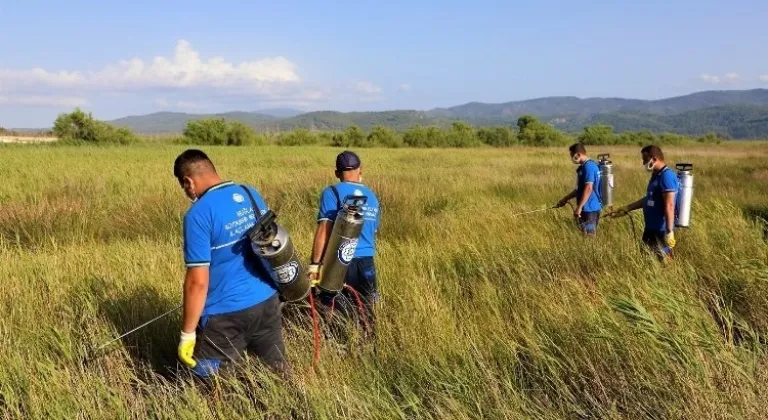 Muğla'da Vektörlerle Mücadele Çalışmaları Sürüyor