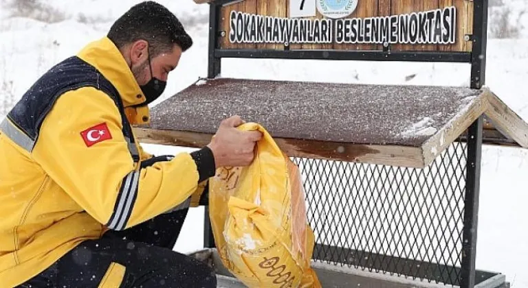 Nevşehir Belediyesi Can Dostları da Unutmadı