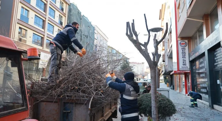Nevşehir'de Belediye Ekipleri Kışlık Budama Çalışmalarına Devam Ediyor