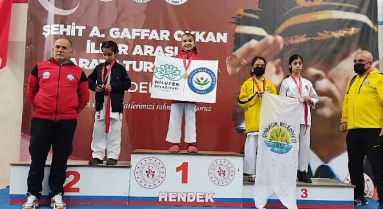 Haber Resmi