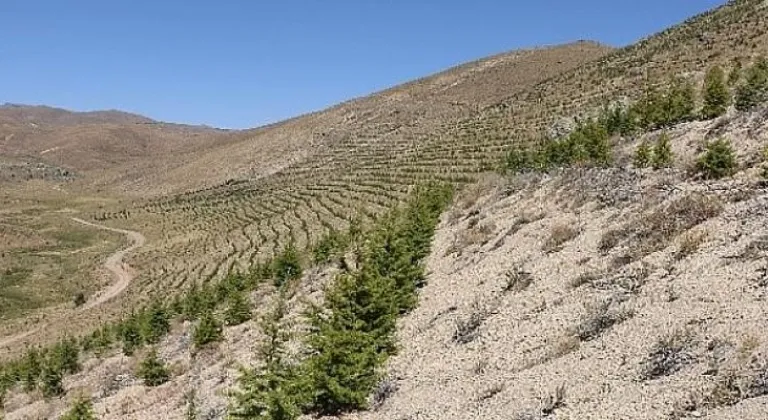 OGM: Bir milyon 100 bin hektarlık alan erozyondan kurtarıldı