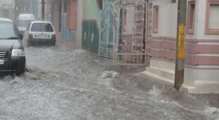 Orman yangınları ve sel felaketi için yardım kampanyası başlatıldı