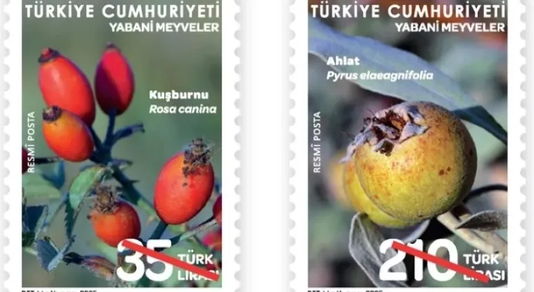 PTT, “Yabani Meyveler” Temalı Pulları Tedavüle Sundu