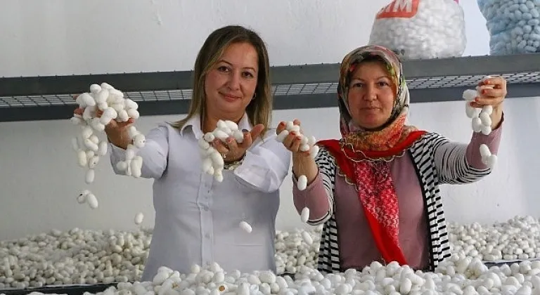 Sapadere İpek Evi'nde eğitim kursları başladı