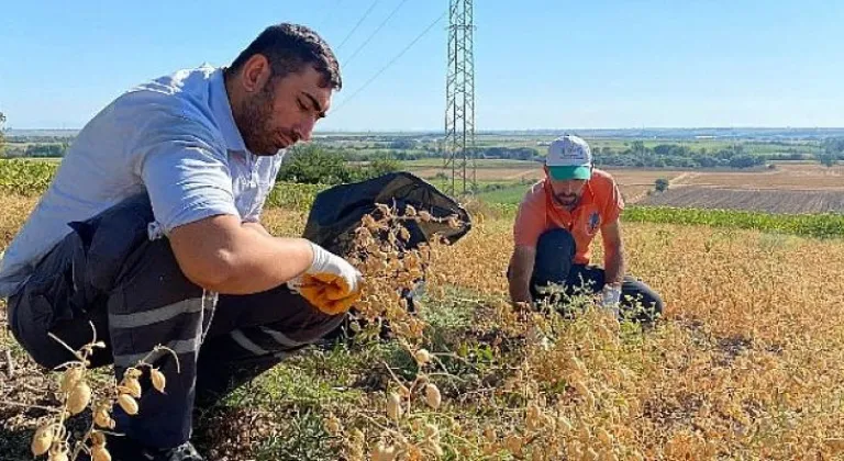 Sevgi Mutfağı’nın ihtiyaçları tarladan