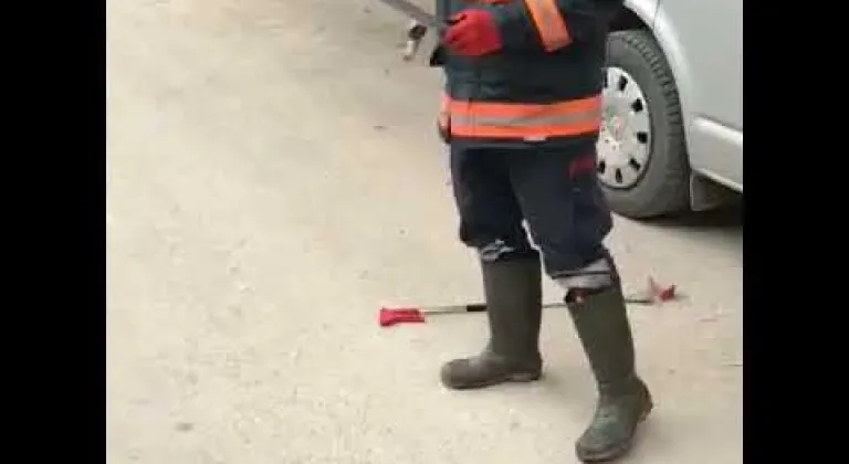 Silifke'de Yılanı oyuncak sandı
