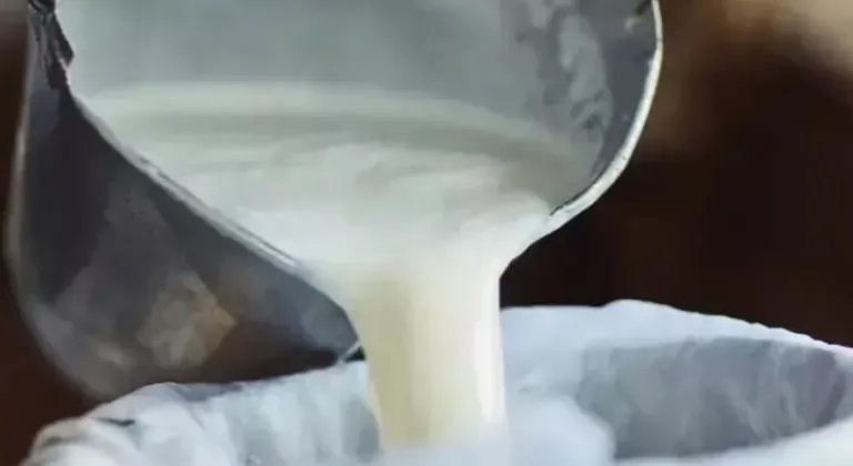 Şubat’ta Süt Üretimi Azaldı, Ayran ve Kefirde Artış Yaşandı