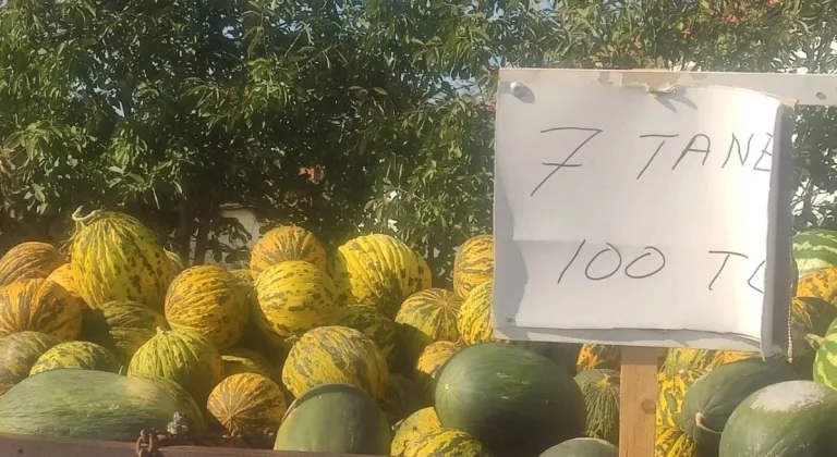Taybıllı, Kavun Üreticilerini Dinledi