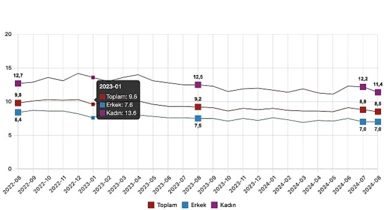 Tüik: Mevsim etkisinden arındırılmış işsizlik oranı %8,5 seviyesinde gerçekleşti