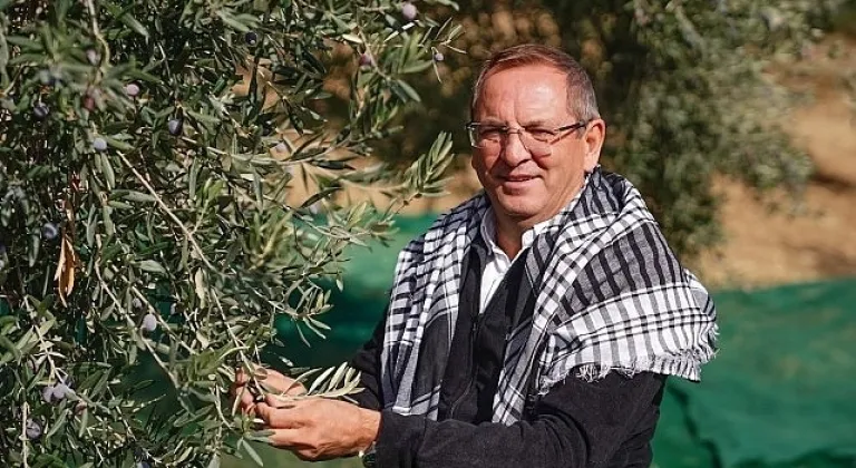 Uluslararası Ayvalık Zeytin Hasat ve Turizm Festivali'nden 19'uncu kez “Merhaba"