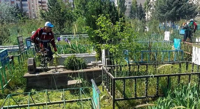 Van Büyükşehir Belediyesi kent genelindeki mezarlıklarda yabani ot temizliği çalışması başlattı.