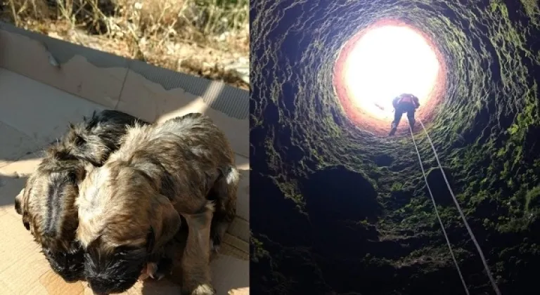Vicdansızlar Bunu da Yaptı!