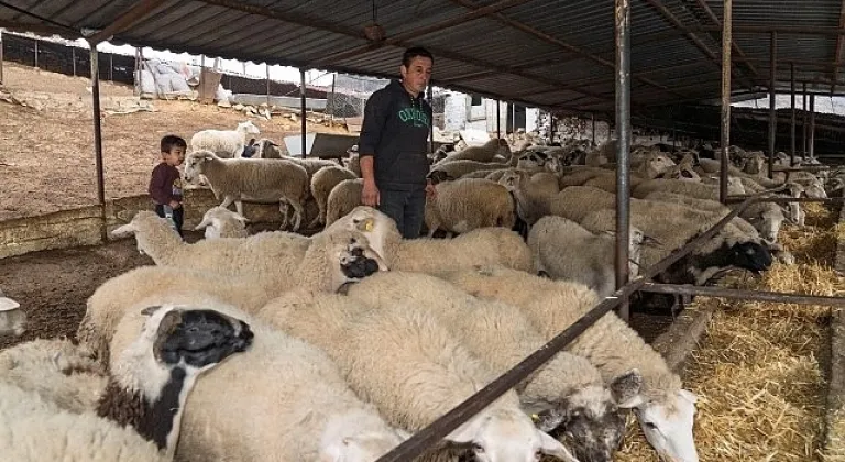 Yangın mağduru çiftçilere 225 ton yem desteği